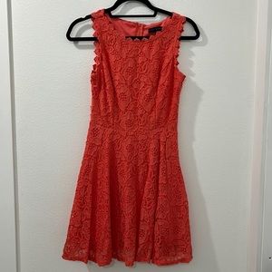 City studio Salmon lace babydoll dress